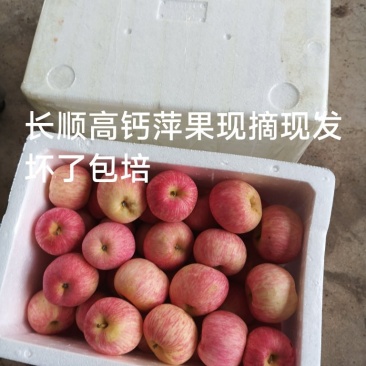 长顺高钙平果现摘现发