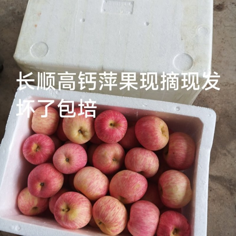 长顺高钙平果现摘现发