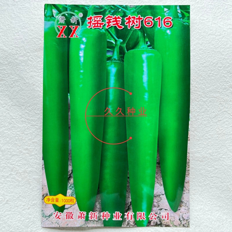 萧新摇钱树616辣椒种子中早熟丰产耐热耐湿抗病结果能力强