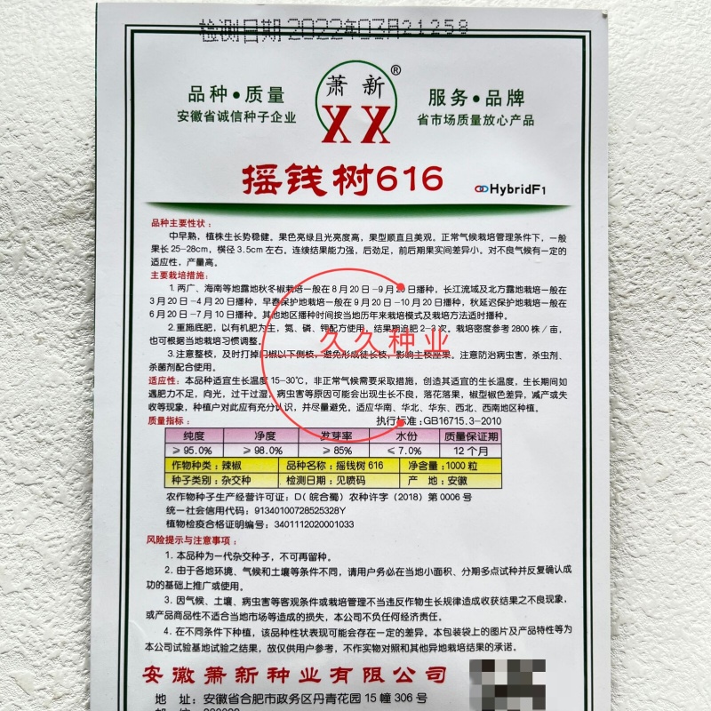 萧新摇钱树616辣椒种子中早熟丰产耐热耐湿抗病结果能力强