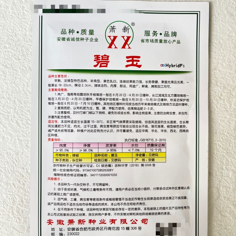 萧新碧玉羊角椒种子早熟浓辣多果鲜食腌制两用农家春秋播种