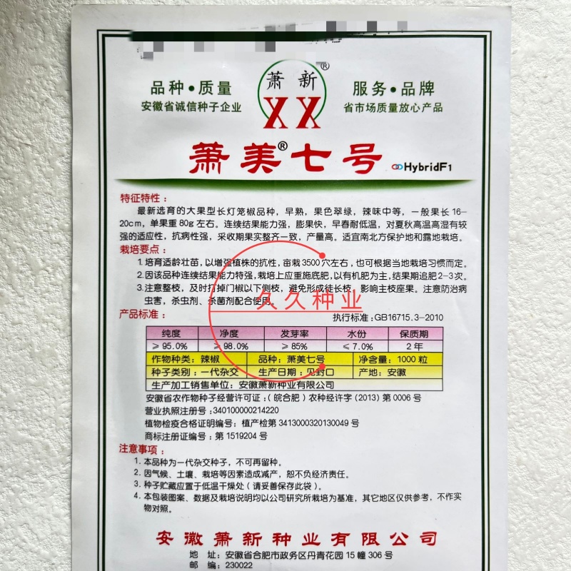 萧新萧美七号辣椒种子籽早熟高产微辣薄皮耐热耐湿辣椒种子
