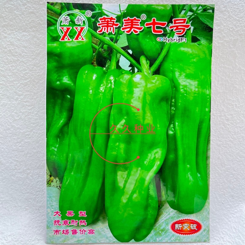 萧新萧美七号辣椒种子籽早熟高产微辣薄皮耐热耐湿辣椒种子