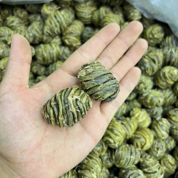 珍虫石斛基地直供，量大从优，可视频看货，欢迎来电洽谈合作