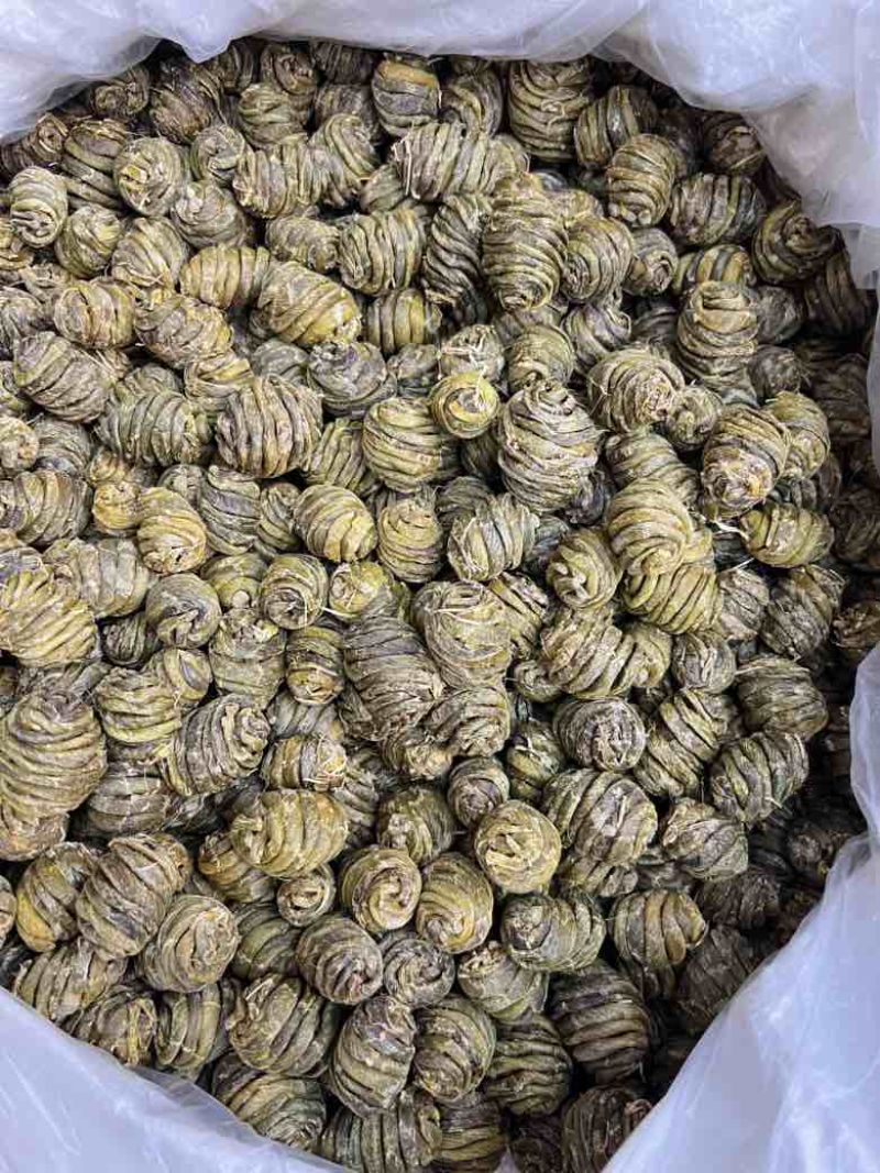 珍虫石斛基地直供，量大从优，可视频看货，欢迎来电洽谈合作