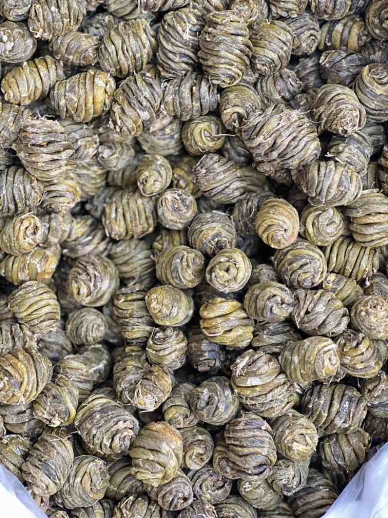 珍虫石斛基地直供，量大从优，可视频看货，欢迎来电洽谈合作