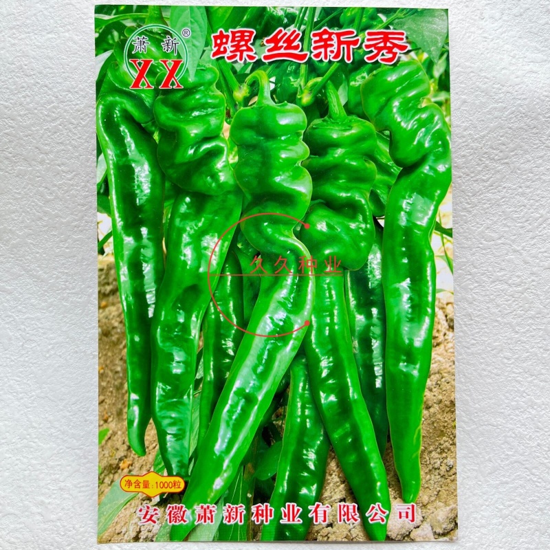 螺丝新秀螺丝椒种子早熟高产辣味浓香耐低温耐热芽率高辣椒种
