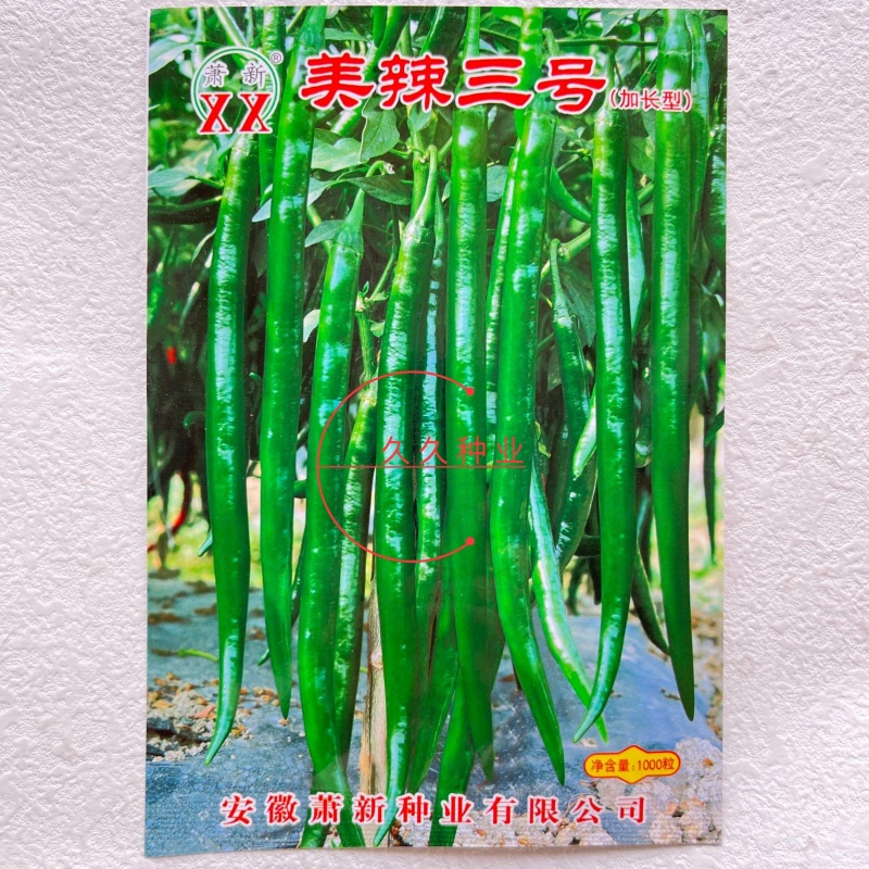 萧新美辣三号线椒种子中熟浓辣油绿高产耐热耐湿农家春秋播种