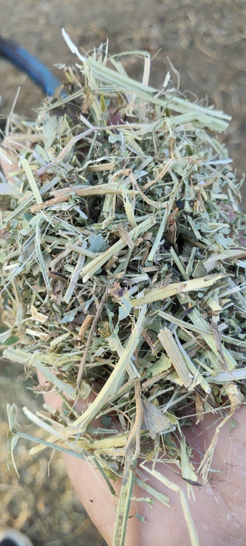 花生秧草料