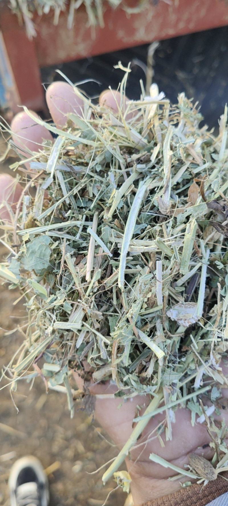 花生秧草料