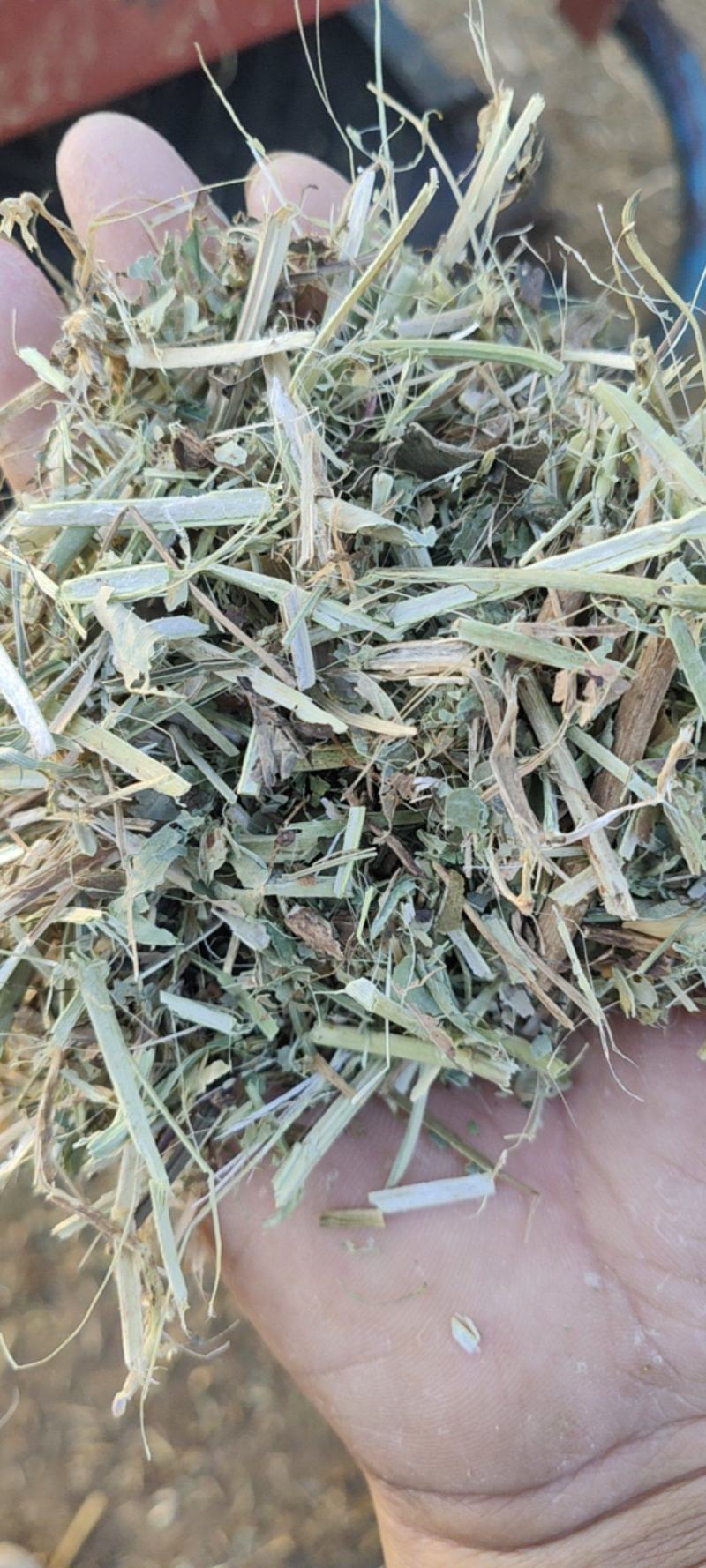 花生秧草料