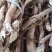 黄花倒水莲大根、细根、切片规格齐全中药批发一手货源量源