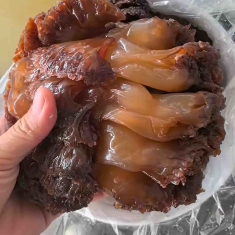 珊瑚海蜇头商用海鲜批发海蜇皮海蜇丝凉拌爽口小菜送礼