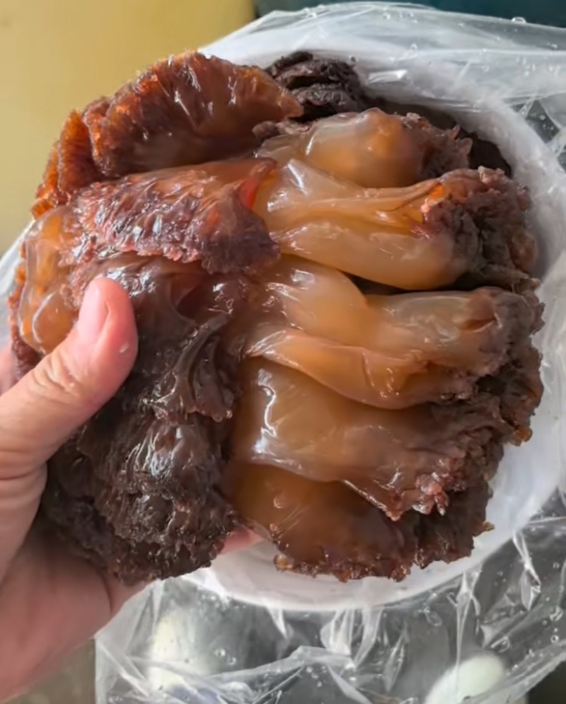 珊瑚海蜇头商用海鲜批发海蜇皮海蜇丝凉拌爽口小菜送礼