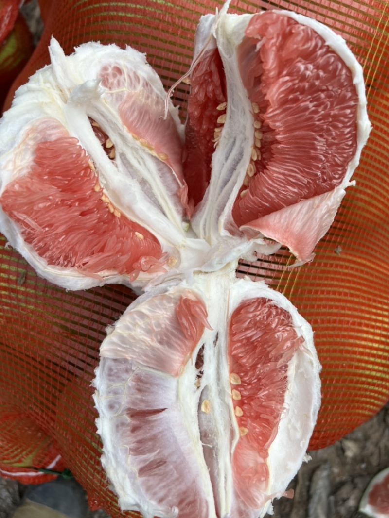 红肉蜜柚口感好/产地直发/湖北蜜柚/对接电商各级市场