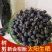 新会小柑胎小柑胎15年二十年新会小青柑
