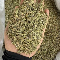 广西香料直供，新鲜香浓，品质保证