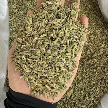广西香料直供，新鲜香浓，品质保证