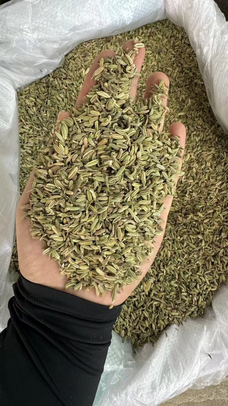 广西香料直供，新鲜香浓，品质保证