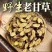 正宗野生甘草中药材批发新货无硫甘草片泡水泡茶生甘草中药生