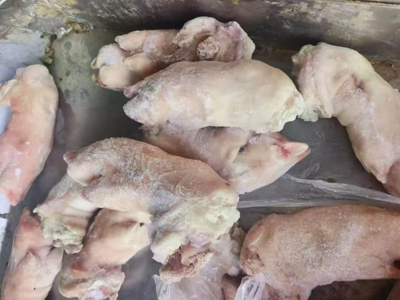 肥猪二级蹄，20个左右，26+++