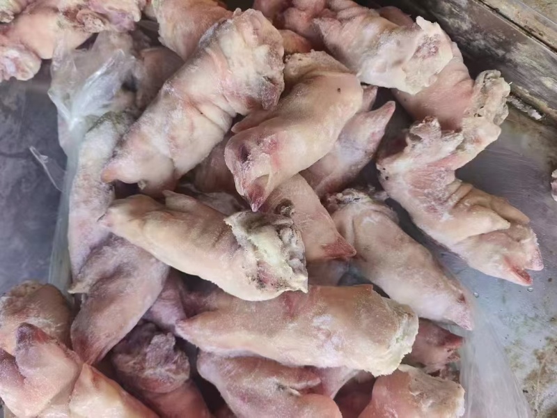 肥猪二级蹄，20个左右，26+++