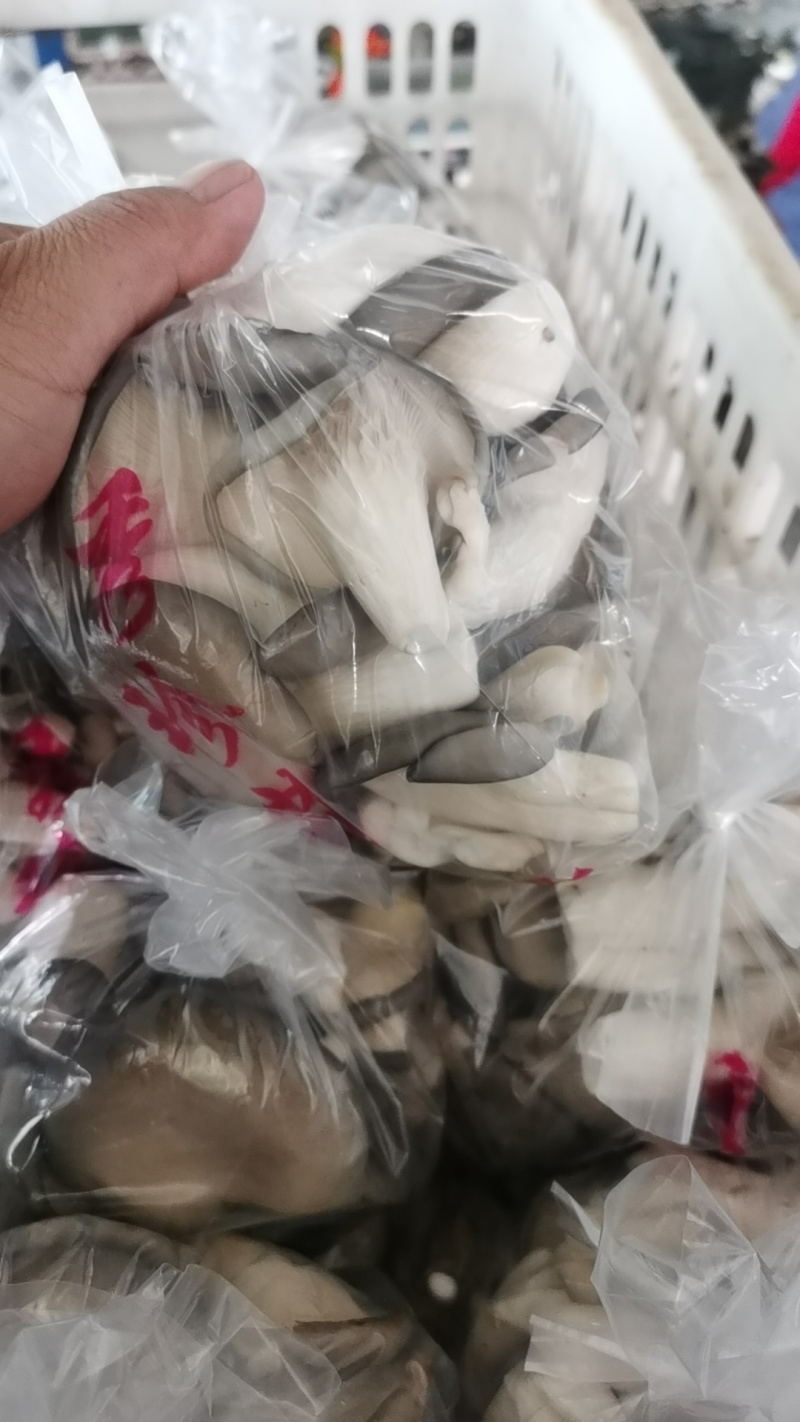 秀珍菇小包装