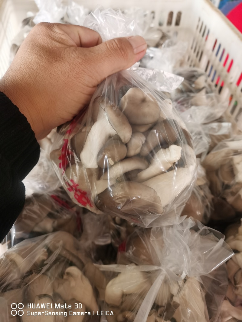 秀珍菇小包装