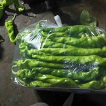 东北精品螺丝椒，产地直发