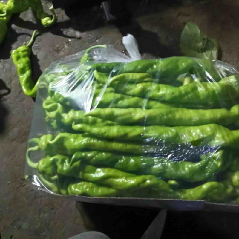 东北精品螺丝椒，产地直发