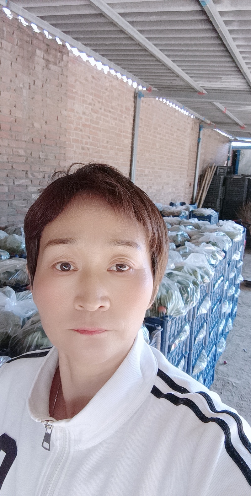 大金星罐头果切片果商品果大量现货供应保质保量包装运输冷藏