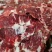 山东精品牛碎肉厂家直发品质保证量大从优一手货源