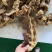 山东精品羽骨剔骨肉厂家直发品质保证量大从优
