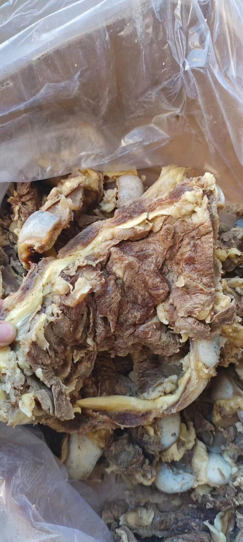 山东精品羽骨剔骨肉厂家直发品质保证量大从优