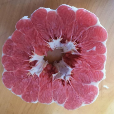 红肉蜜柚