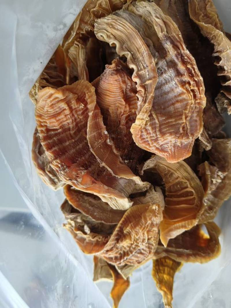 毛竹嫩笋尖，笋干，玉兰片，无盐无硫柴火烘干，农家自制。