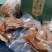 毛竹嫩笋尖，笋干，玉兰片，无盐无硫柴火烘干，农家自制。