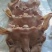8成熟羊头肉，去骨，带舌头，带耳朵，带羊眼。
