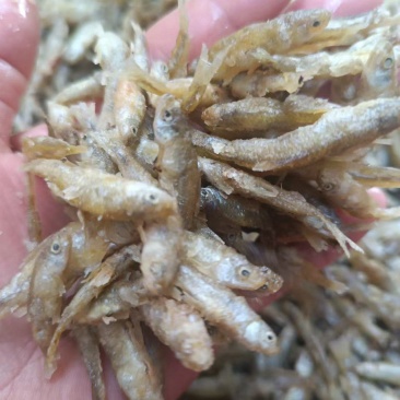 油炸裹面麦穗鱼