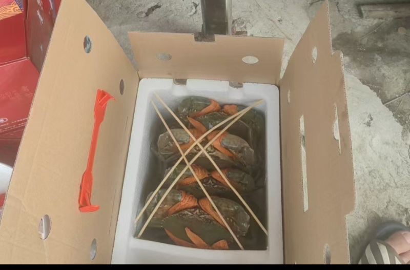三门青蟹鲜活到家质美价廉诚信经营可对接电商商超等