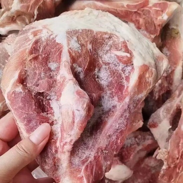 扇子骨