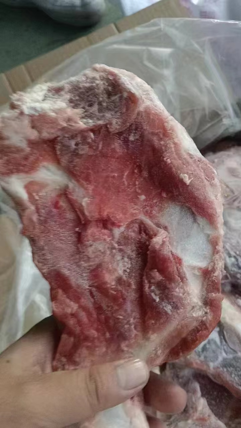 扇子骨