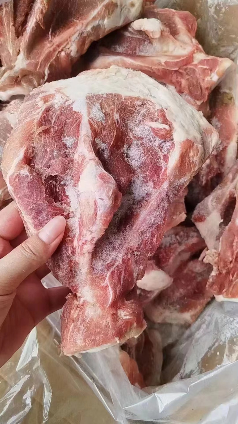 扇子骨