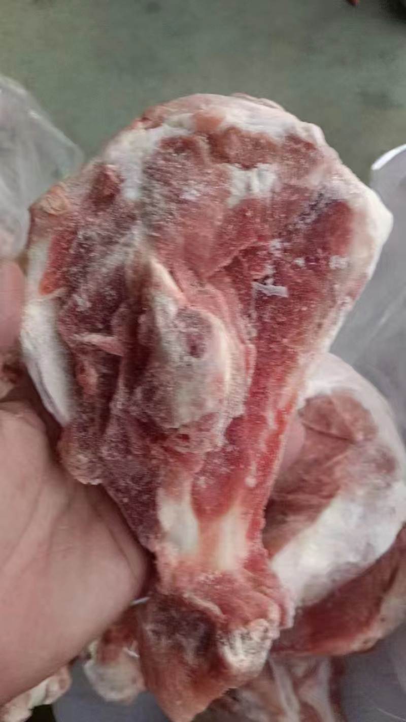 扇子骨