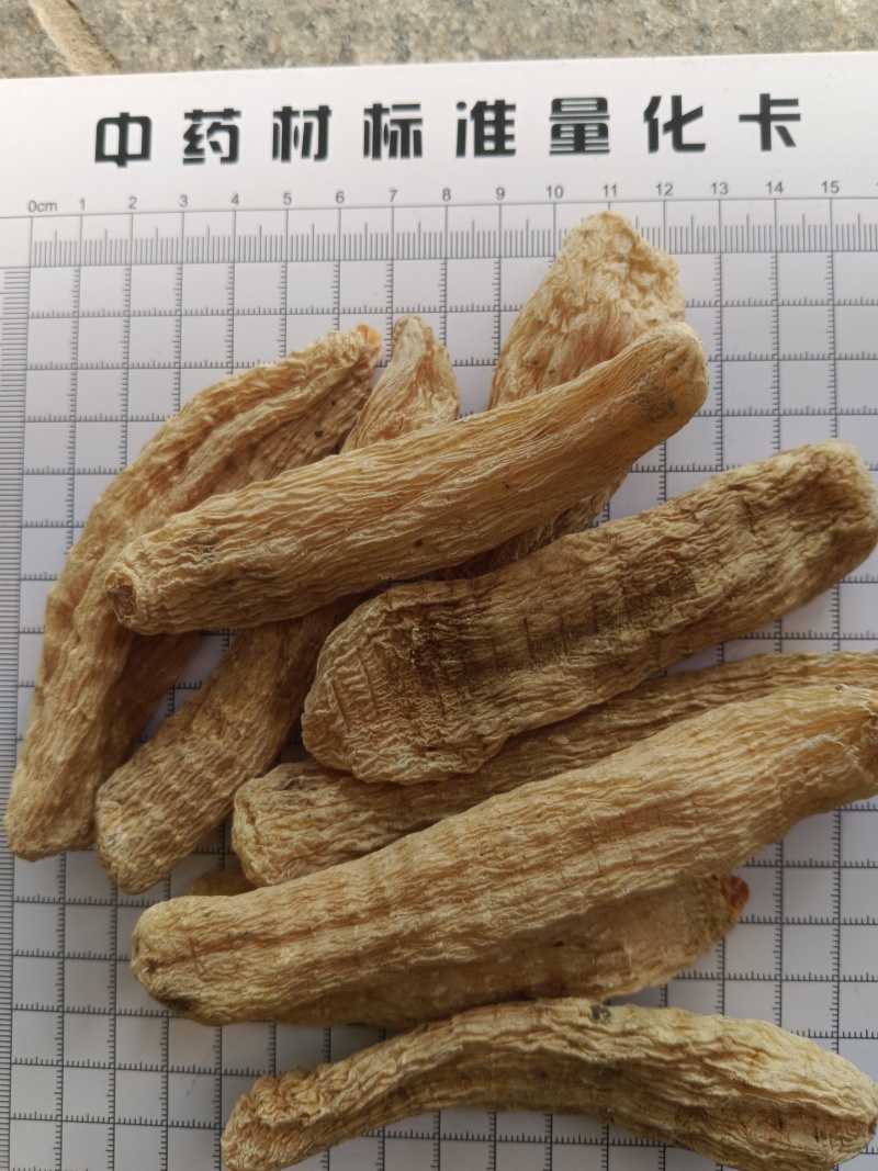 天麻，足干，产地一手货源真实拍照有现货24小时内发货