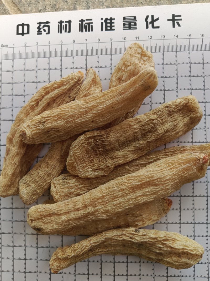 天麻，足干，产地一手货源真实拍照有现货24小时内发货