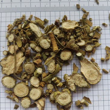 槲寄生，真实拍照，薄利多销，有现货，24小时内发货