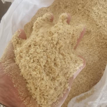 玉米面