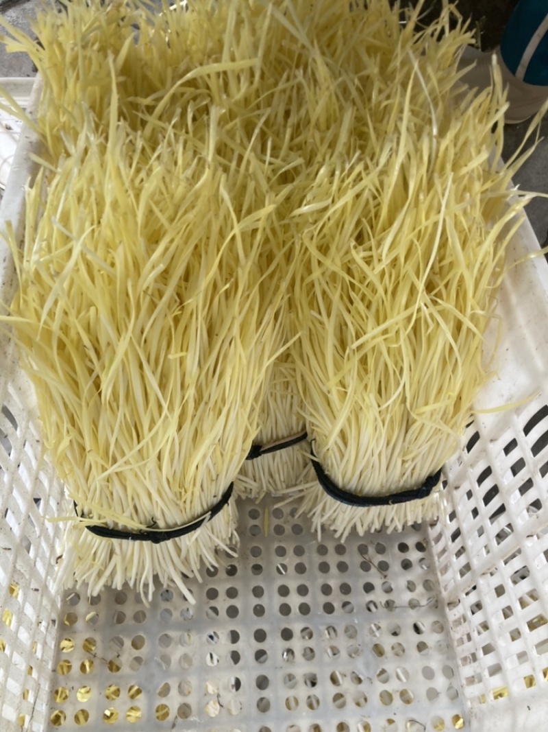 韭黄，不是蒜黄，品质保证诚信经营，欢迎选购