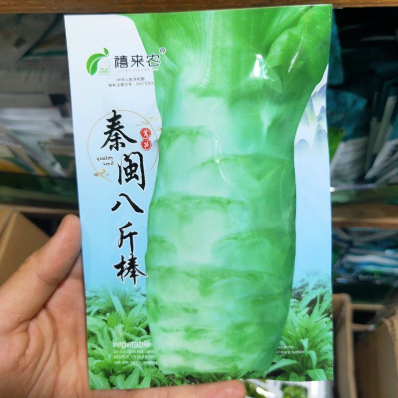 莴笋种子尖叶莴苣种子耐热耐寒四季播种嫩白皮浅绿肉蔬菜种子